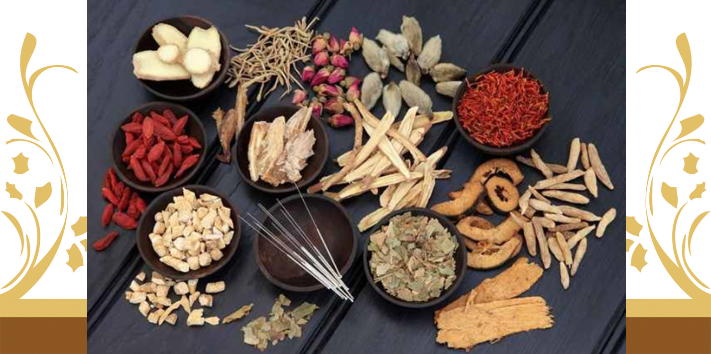 Beberapa Manfaat Tanaman Obat Untuk Berbagai Penyakit Beberapa Manfaat Tanaman Obat Untuk Berbagai Penyakit